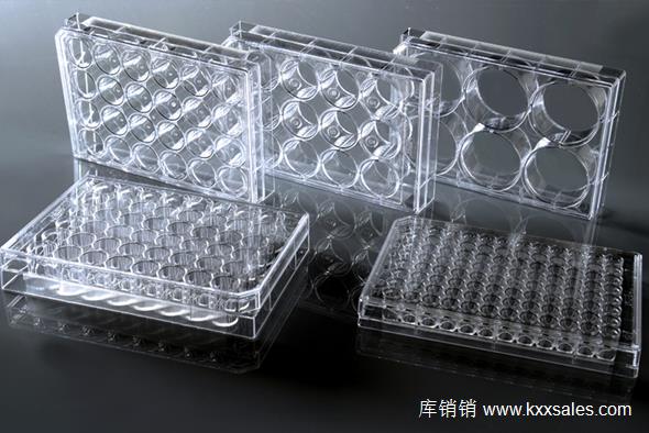 12孔细胞培养板平底TC