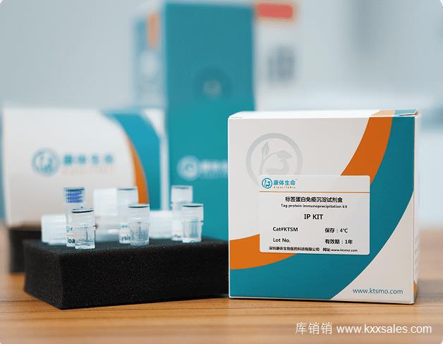 Anti-HA Nanobody IP kit (Agarose)