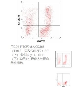 Biolegend   PE anti-human CD366 (Tim-3)  345006