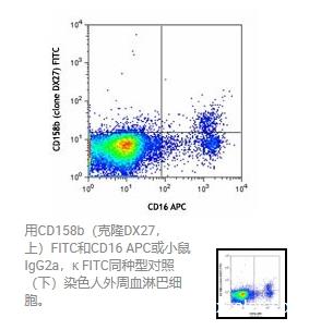 Biolegend  FITC anti-human CD158b (KIR2DL2/L3, NKAT2) Antibody  312604