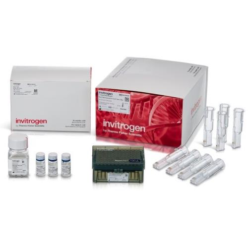 Invitrogen™ Neon™ NxT Electroporation System 100-μL Kit N10096